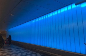 彩色U型米兰网页版登录入口